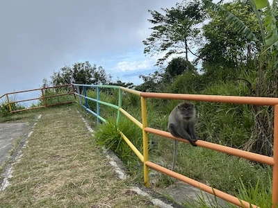 Langkawi: tropický ostrov a bezcelní zóna Malajsie